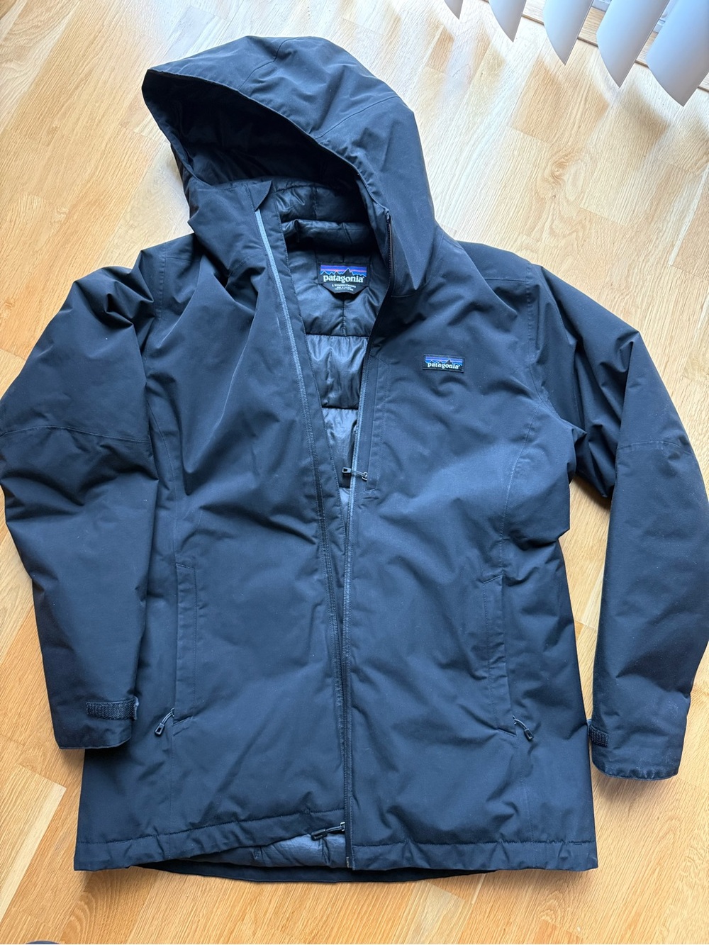 Patagonia Women's Windsweep Down Hoodie